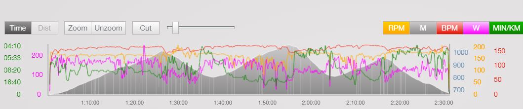 What Does a Heart Rate Monitor Tell You?